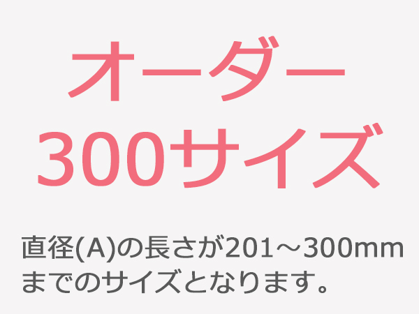鉄板 SPCC 円形 300