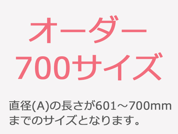 鉄板 SPCC 円形 700